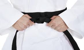 Image result for Swansea Taekwondo Club