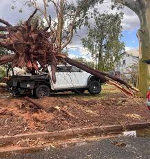 Image result for Charville Chasers