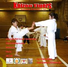 Image result for Kaizen No-Michi, Cleethorpes Karate Dojo