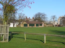 Image result for Hampton Hill Cricket Club