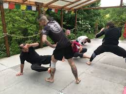 Image result for Silat Scathach