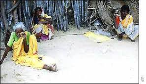 Image result for Erwadi