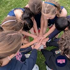 Image result for Carlton Netball Club