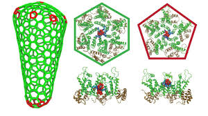 Image result for фотография вируса вич