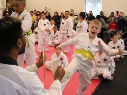 Image result for Impact Martial Arts