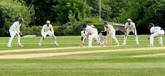 Image result for Saffron Walden Cricket Club