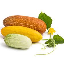 Image result for Gurke