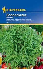 Image result for Bohnenkraut