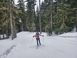 Image result for White Cross Ski Club