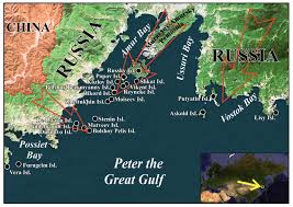 Attēlu rezultāti vaicājumam “Aphodius subterraneus imago”