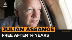 Image result for julian assange