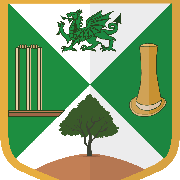 Image result for Brislington Cricket Club