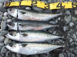 Image result for 201205.html#201205031