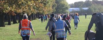 Image result for Kingfisher Twirling Team