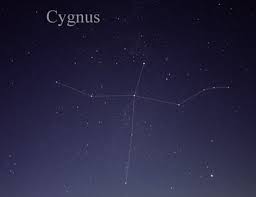 Attēlu rezultāti vaicājumam “Cygnus”