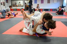 Image result for United Dojos Kickboxing