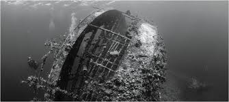 Image result for Black Country Barracudas Sub Aqua Club