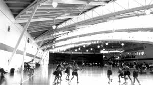 Image result for Waverley Netball Club