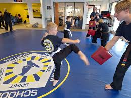 Image result for Freedom Martial Arts