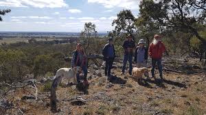 Image result for Strathbogie Rambling Club