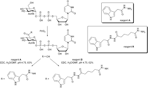 Image result for р%D...126