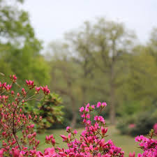 Image result for Staines Ramblers Group