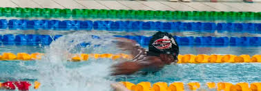 Image result for Huntingdon Piranhas Swimming Club