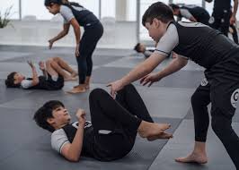 Image result for Mansfield Constrictors Grappling Academy