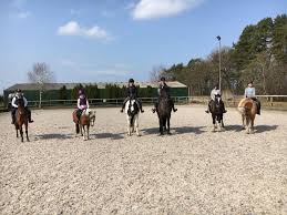 Image result for Scottish Equi Complex
