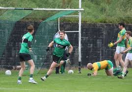 Image result for Patrick Sarsfield Gaelic Athletic Club