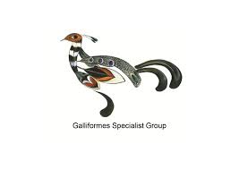 Attēlu rezultāti vaicājumam “Galliformes”