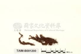 Attēlu rezultāti vaicājumam “Timmia megapolitana”