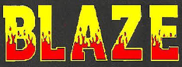 Image result for Bromsgrove Blaze Basketball Club