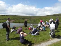 Image result for Harrogate Rambling Club
