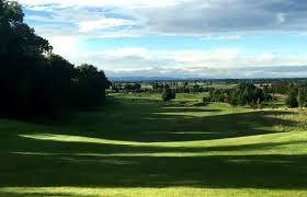 Image result for Carlow Golf Club