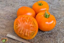 Afbeeldingsresultaat voor caro rich tomato