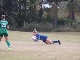 Image result for Rayleigh boys under 7's Leopards- need a Goalie!