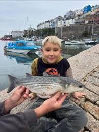 Image result for Ilfracombe Orcas Octopush Club