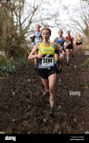 Image result for St Albans Striders