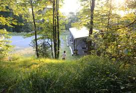 Image result for Property Gun and Punt Club