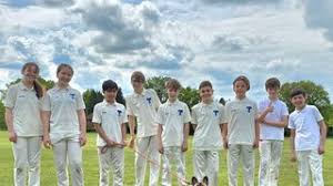 Image result for South Nutfield Cricket Club