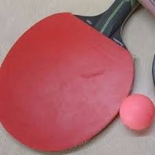 Image result for Haslemere Table Tennis Club