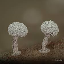 Attēlu rezultāti vaicājumam “Physarum auriscalpium sessile”