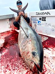 Image result for giant tuna