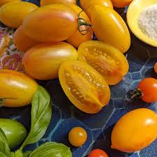 Afbeeldingsresultaat voor blushing yellow tomato