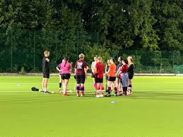 Image result for Redhill Girls Football Club