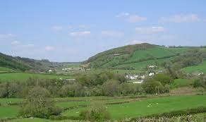 Image result for Bronwydd Cricket Club