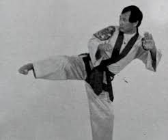 Image result for Kuk Sool Won Of Botesdale