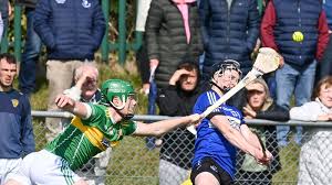 Image result for Patrick Sarsfield Gaelic Athletic Club