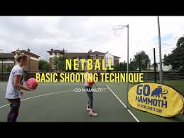 Image result for Go Mammoth